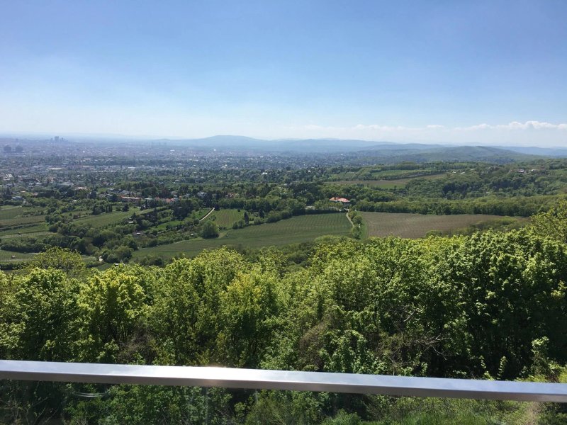 Kahlenberg Coffee To Go