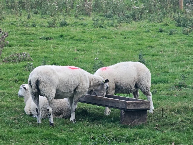 Howgill Farm Bolton Abbey