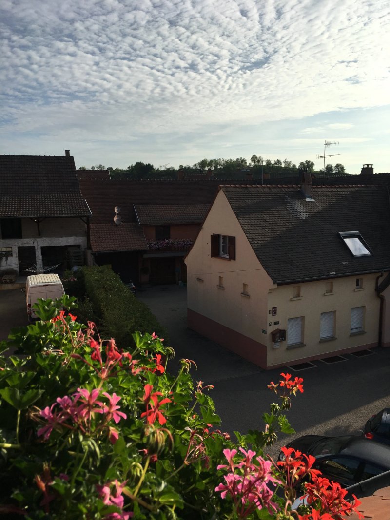 Hotel Le Mittelwihr