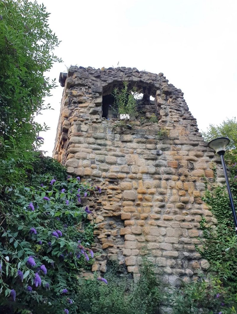 Bog Bank