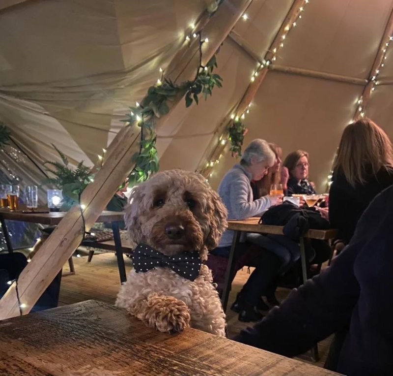 Maxi's Tipi Lounge