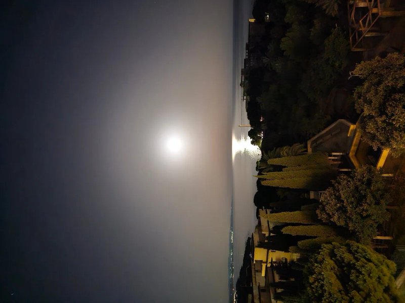 La Paloma Blanca Hotel