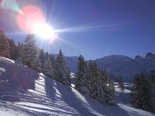 Hotel St. Josefshaus Engelberg