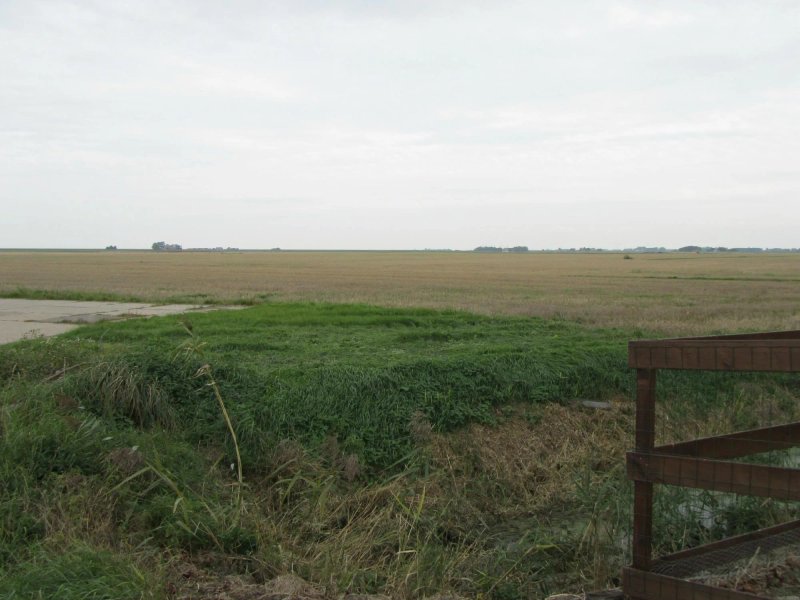 De Witte Klok