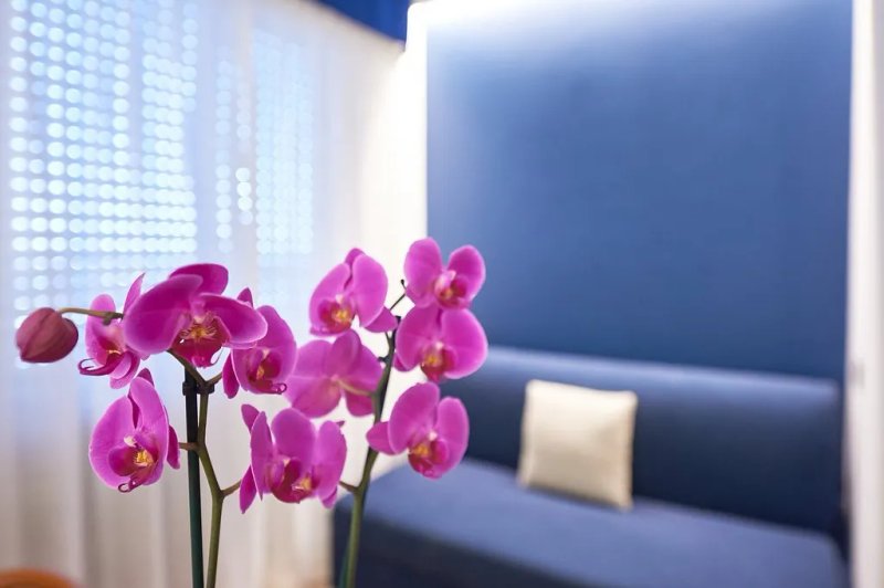Hotel Croce Di Malta