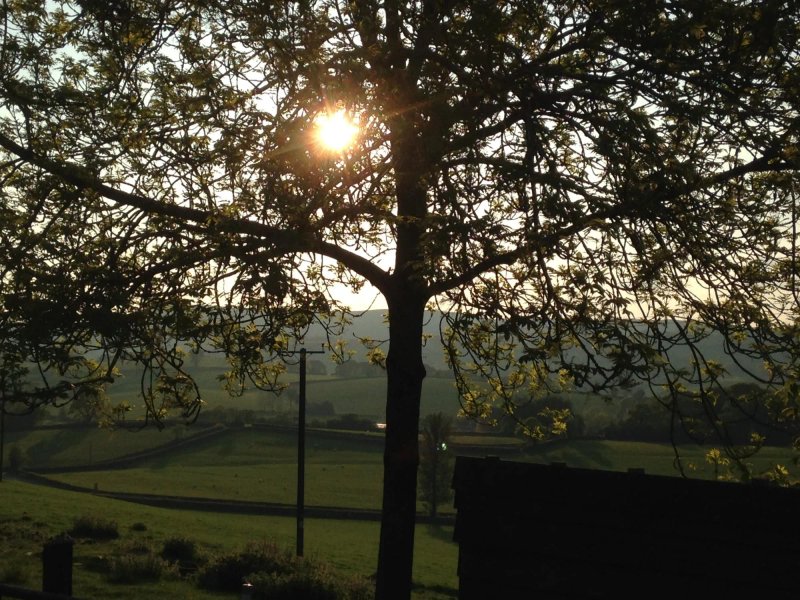 Fedw Farm