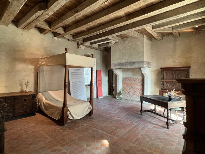 Chateau de Fougeres-sur-Bievre