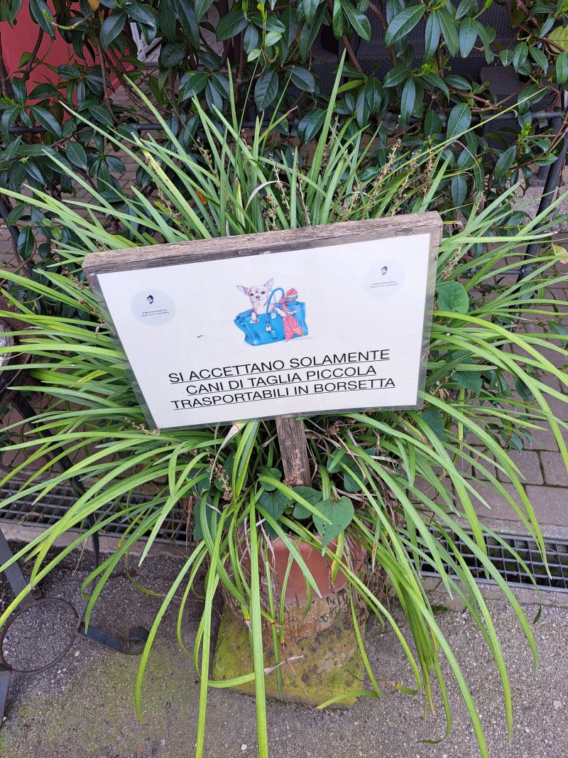 Dalla Mora