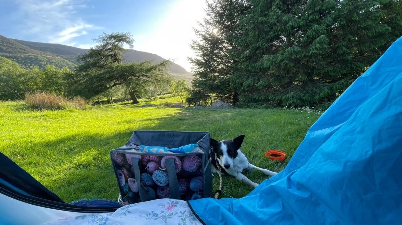 Syke Farm Campsite