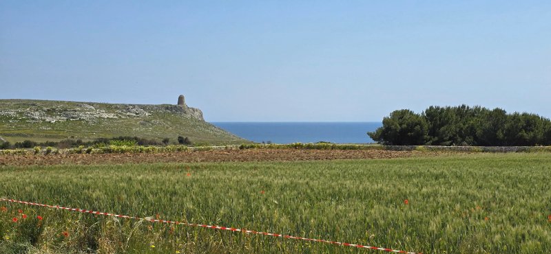 Tenuta Sant'Emiliano