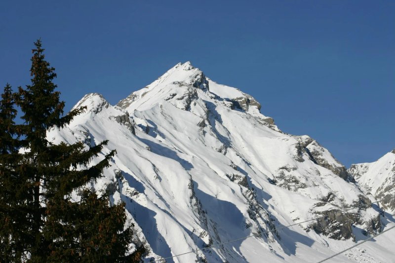 Baita La Jolie Bergere