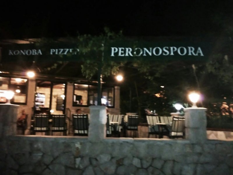 Peronospora