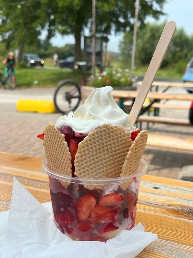 Wingbergerhoeve Fruit & Ijs