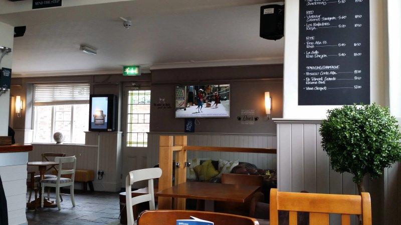 The Stag