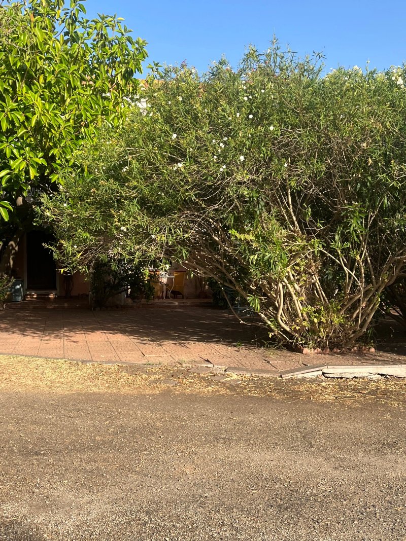 B&B La Casa delle Rose
