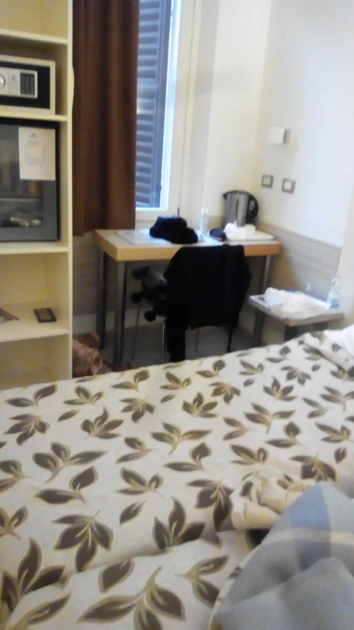 Hotel Holiday