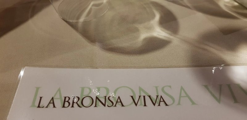 La Bronsa Viva
