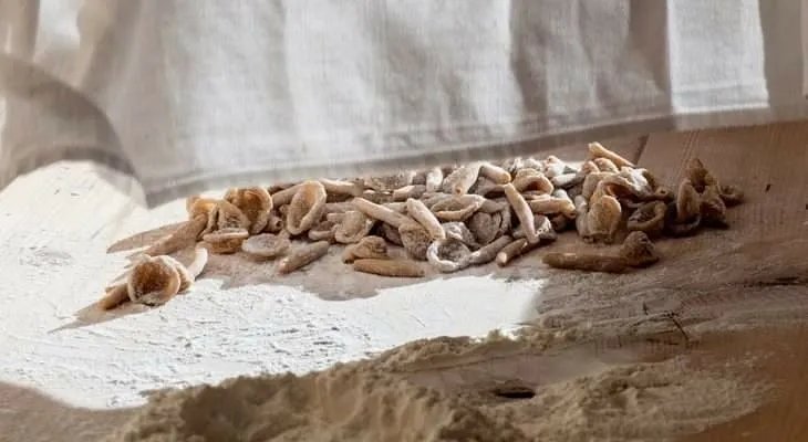 Tenuta Lu Cantieri