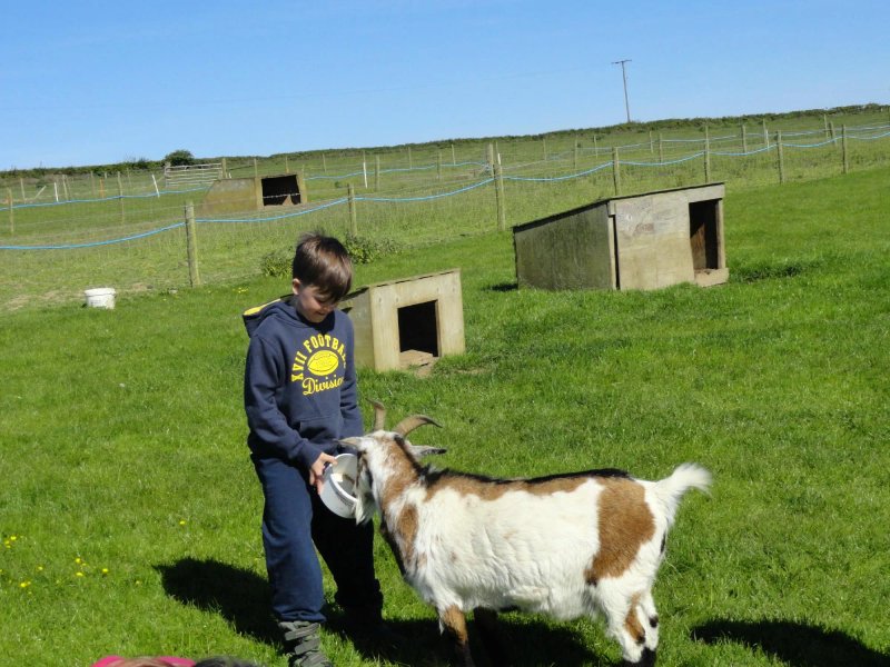 Penquite Farm