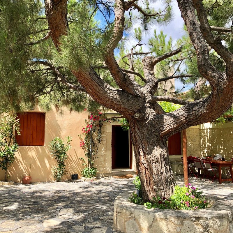 Scalani Hills Boutari Winery & Residences