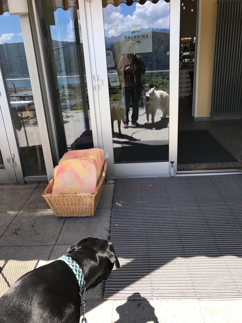 Hotel Paladina