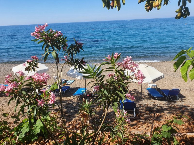 Souli Beach Hotel