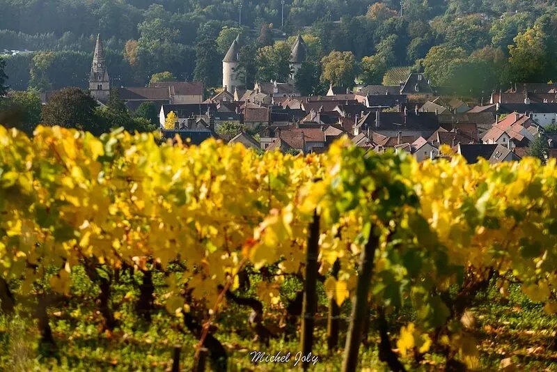 Charming cottage in the heart of Burgundy climates