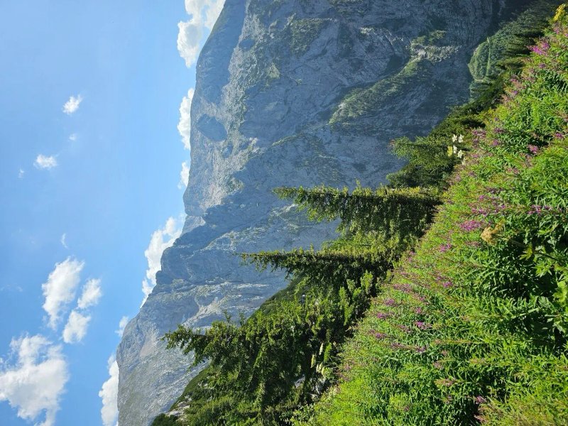 Hotel Gasthof Hoerterer der Hammerwirt
