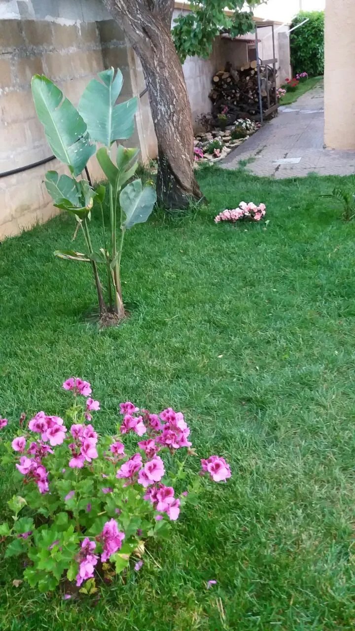B&B Villetta Orchidea