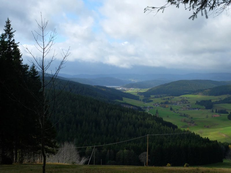 Cafe -Pension Feldbergblick