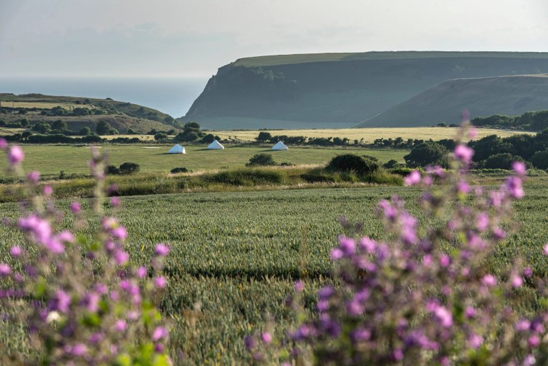 Weston Farm Campsite