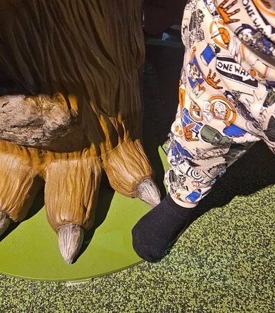 The Gruffalo & Friends Clubhouse