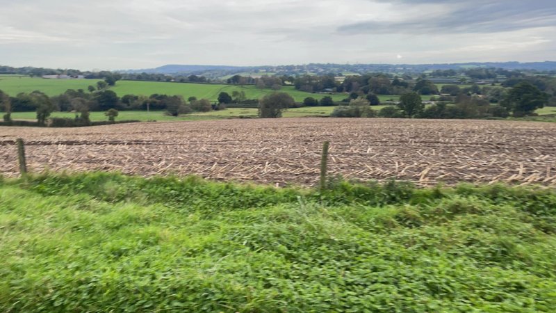 Lower Keats Glamping
