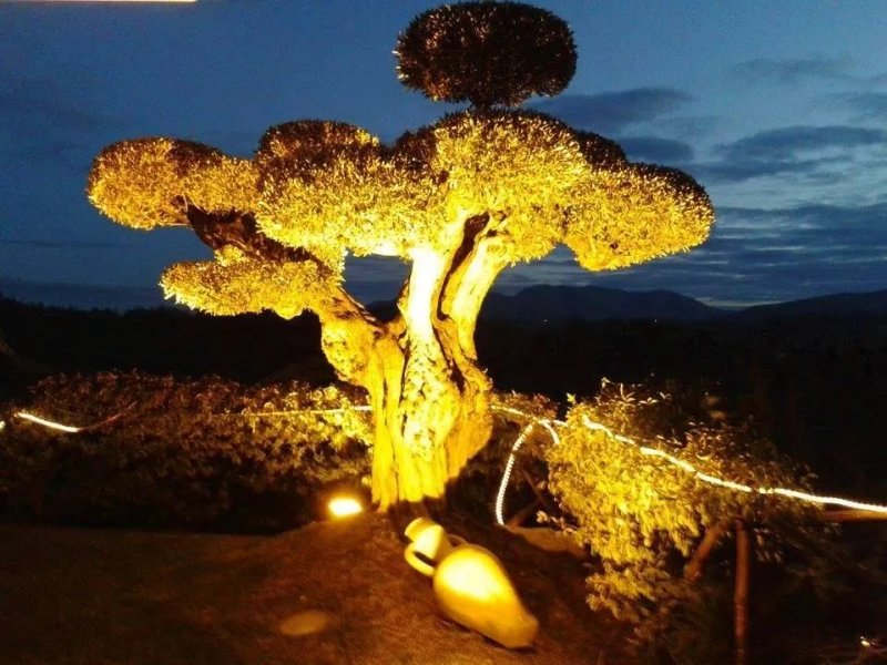 B&B Country House L'Ulivo Antico