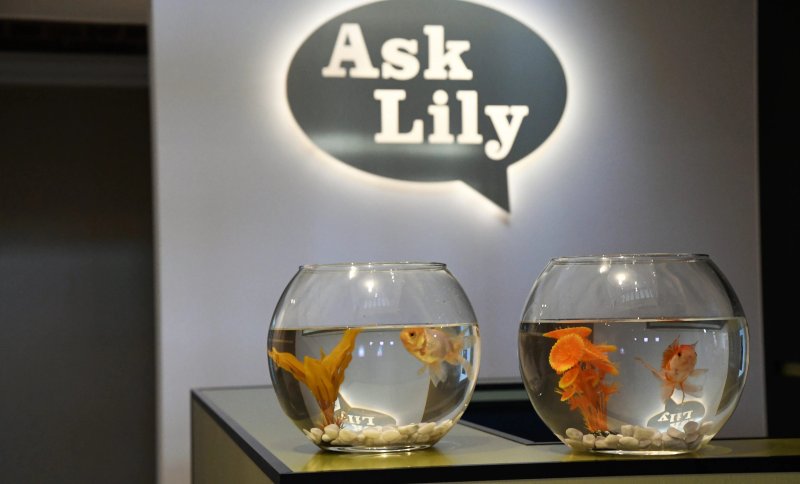 Ask Lily