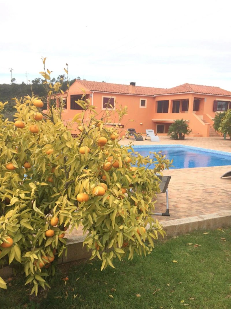 Flyfish Algarve Holidays