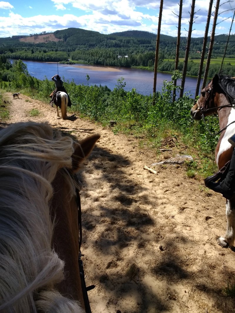 Sun Dance Ranch