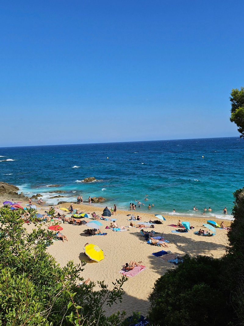 Camping Treumal