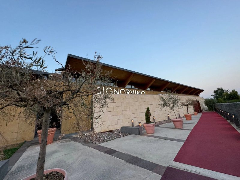Signorvino - Valpolicella