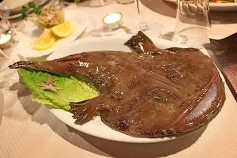 la ricciola