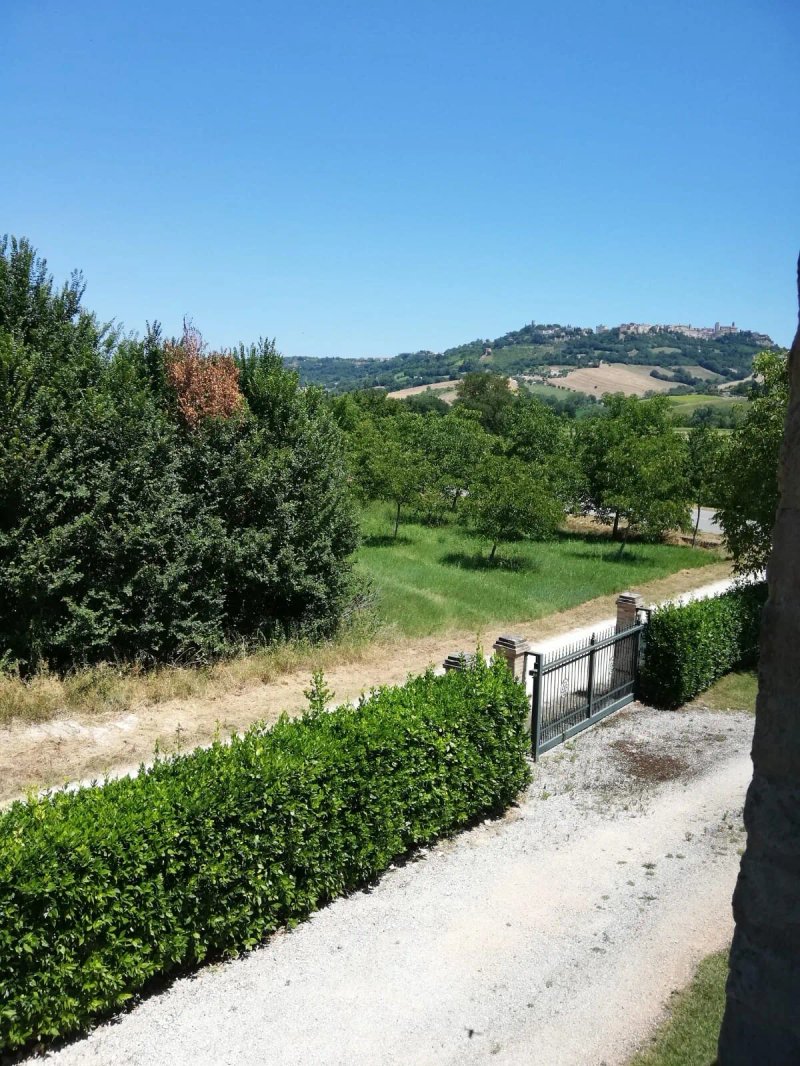 La Mezzina