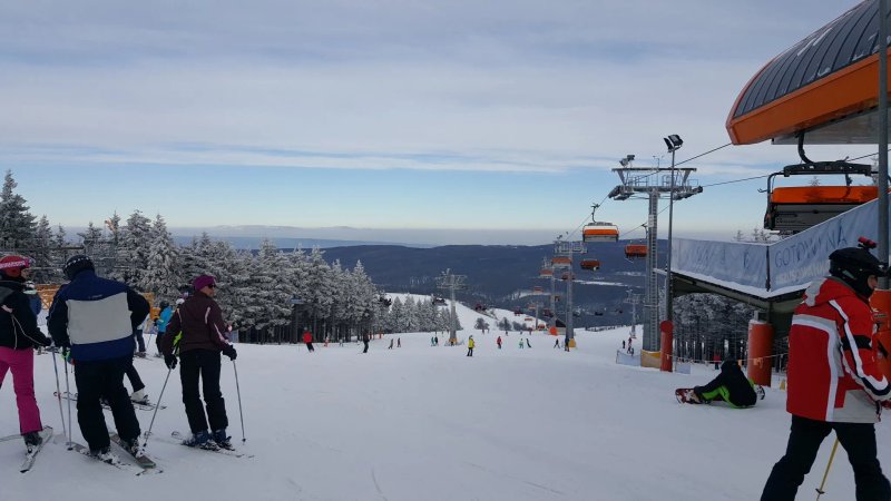 Alpejski Zieleniec
