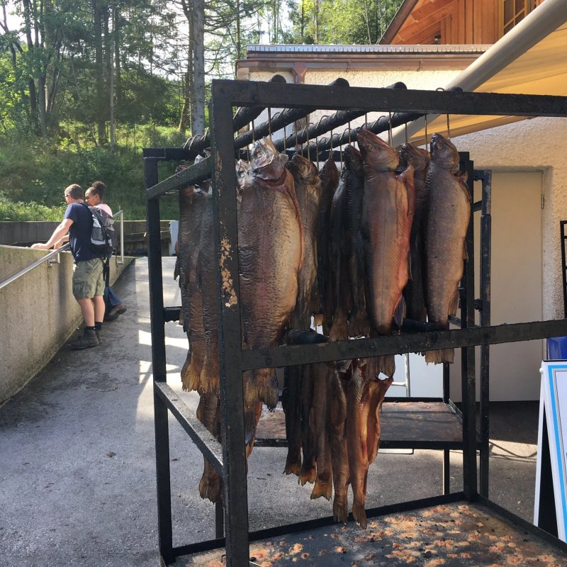 Schloss Fuschl Fischerei