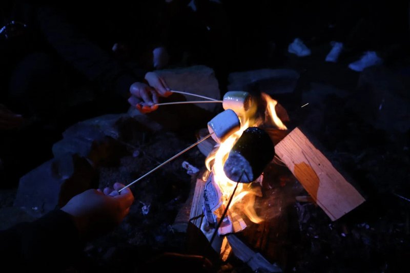 Woodview Campsite