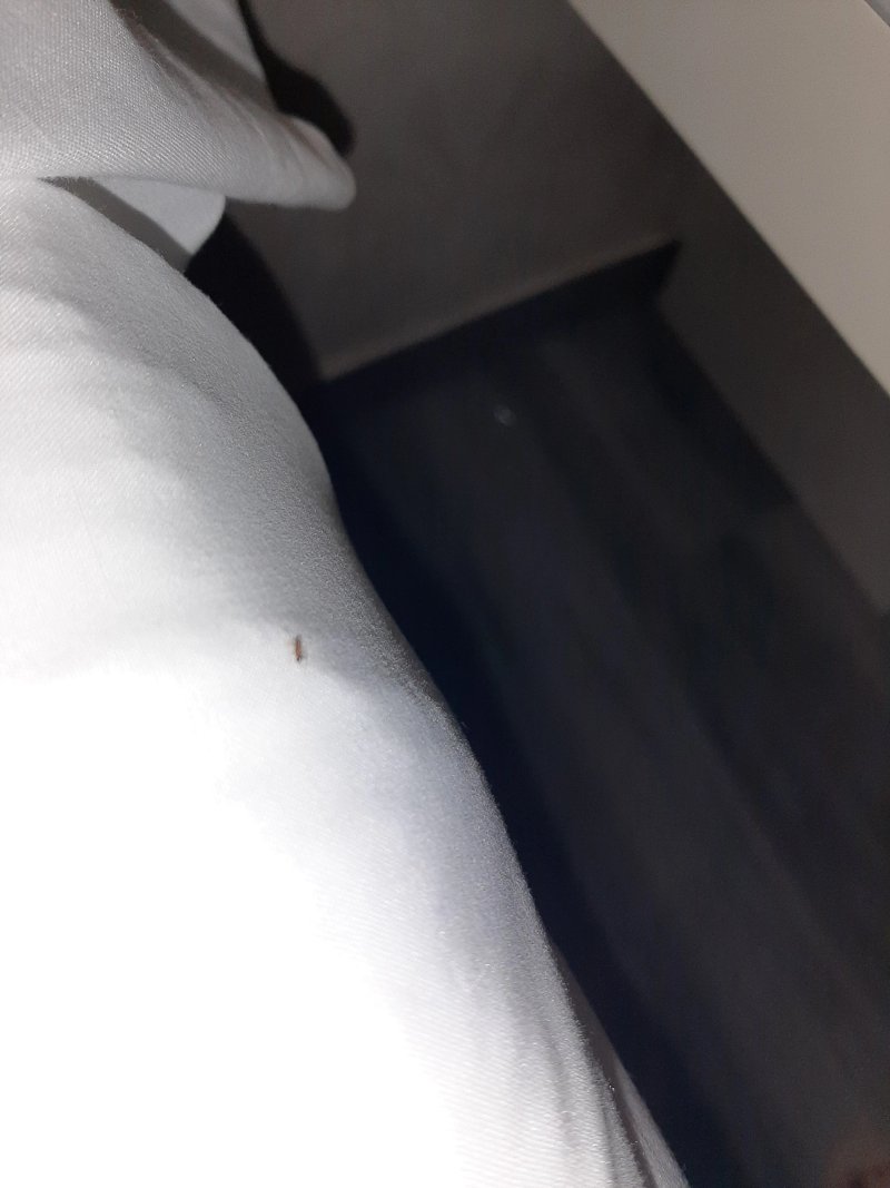 Hotel Luve