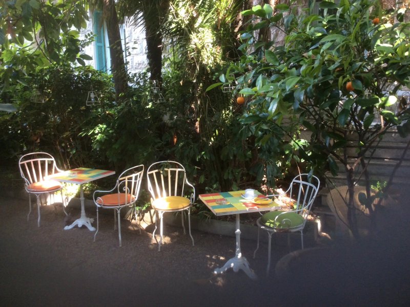 Le Windsor, Jungle Art Hotel