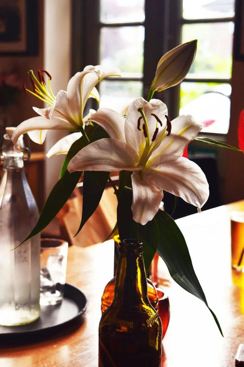 The Alleyns Head