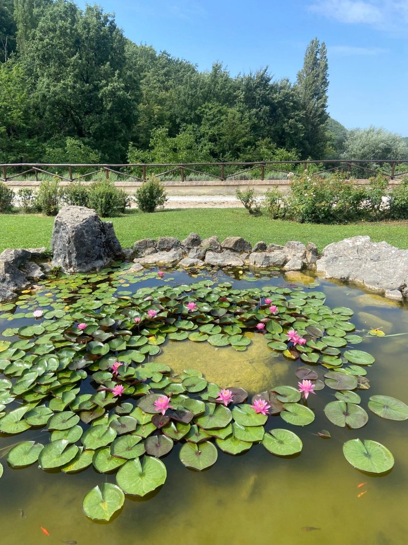 Agriturismo Le Case - Residenza Di Campagna