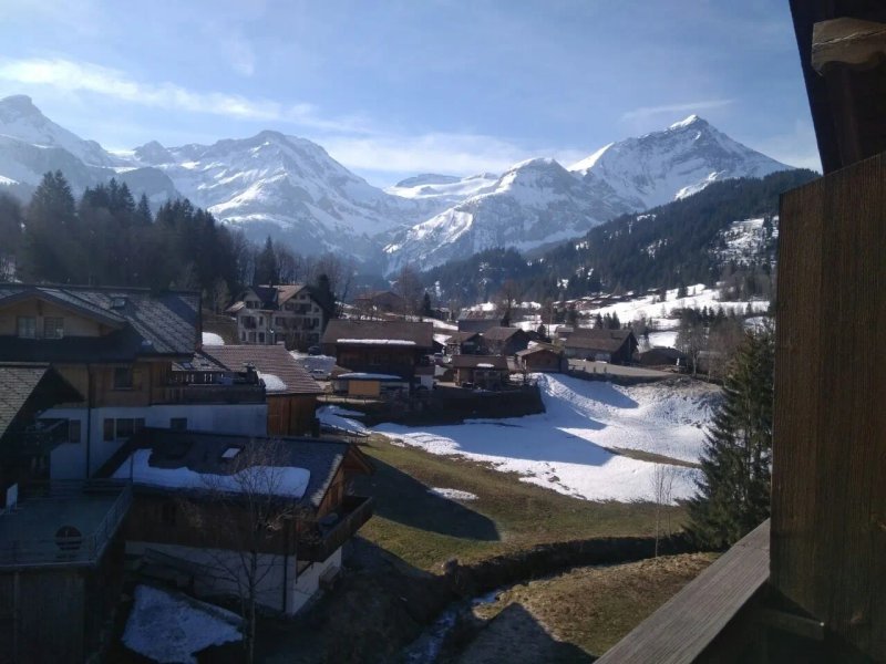 Hotel Wildhorn
