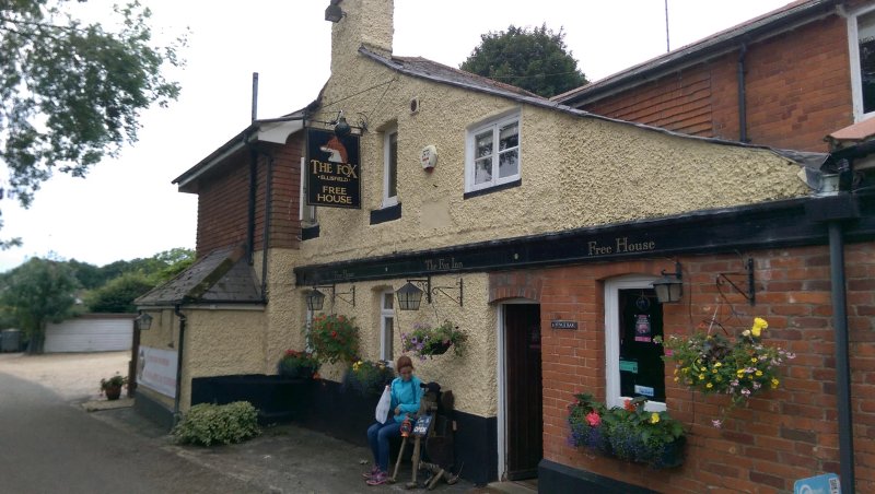 The Fox